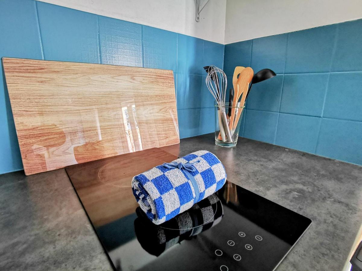 شقة La Bulle Bleue - Parking-Terrasse-Aeoport-Meet بلانياك المظهر الخارجي الصورة